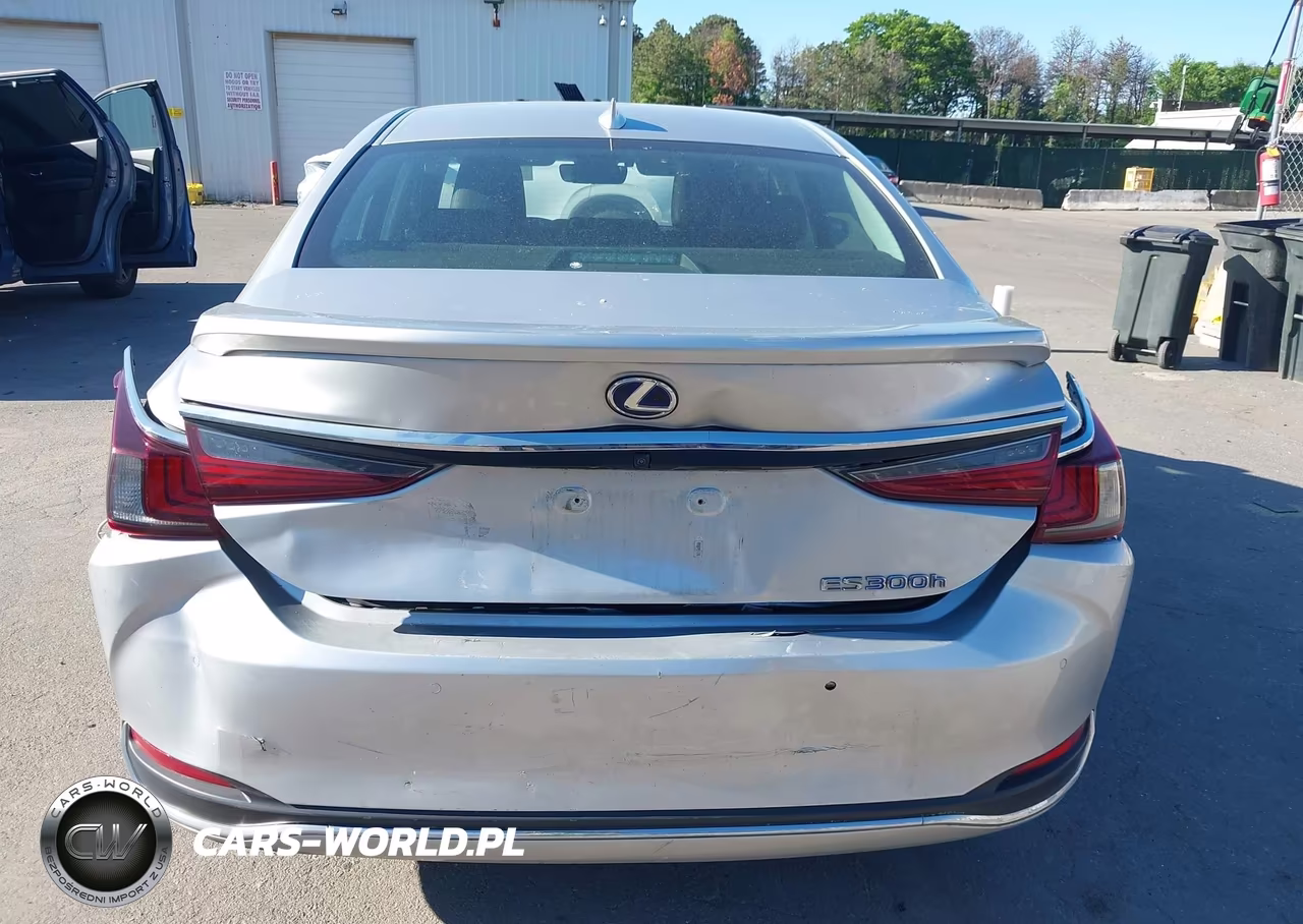 2021 Lexus Es 300H Luxury VIN:58AEA1C11MU002128 - 6