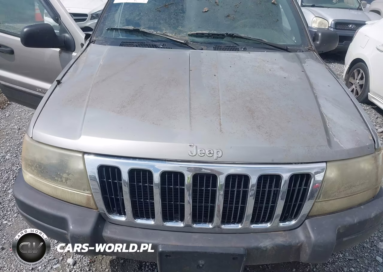 2001 Jeep Grand Cherokee Laredo VIN:1J4GX48S31C679926 - 10