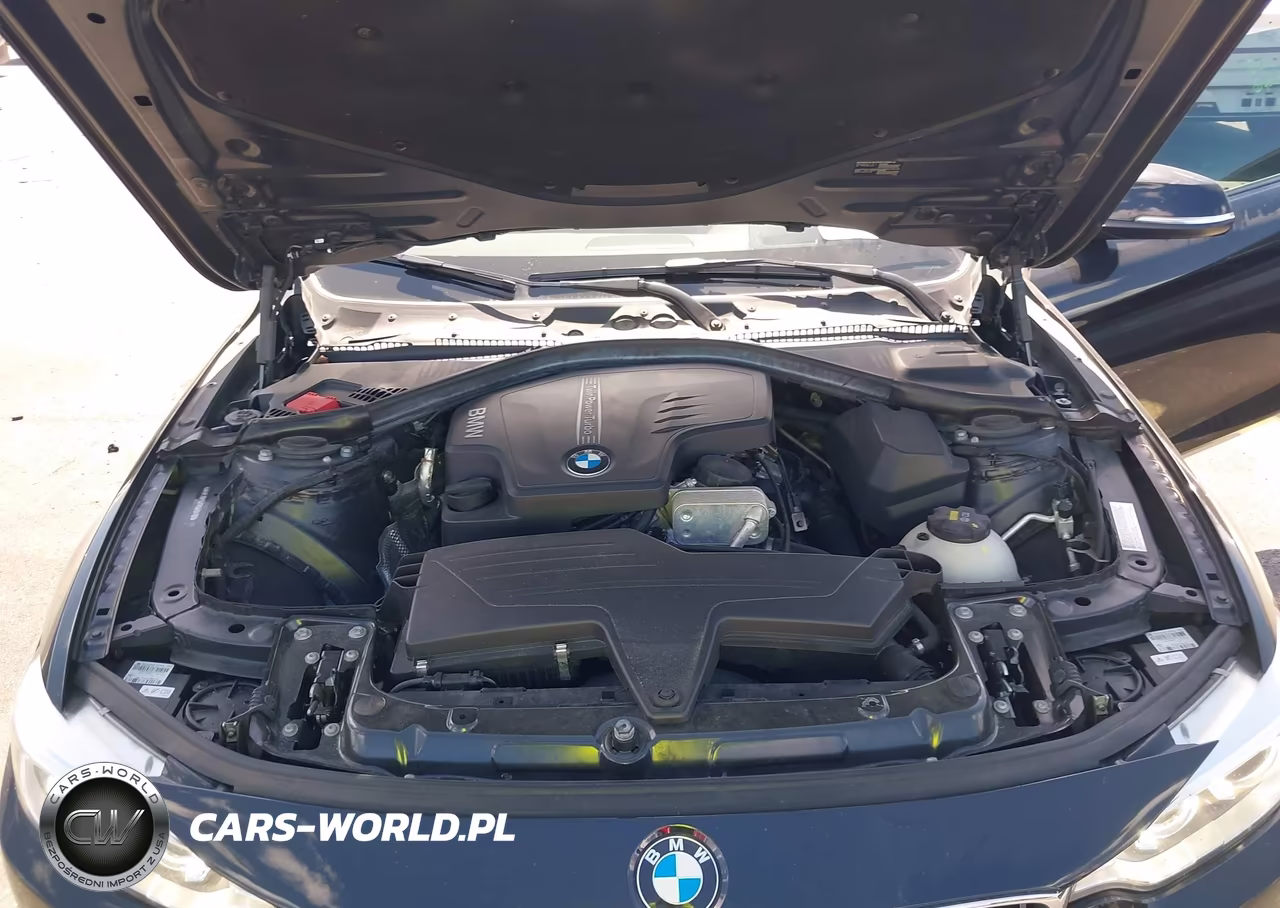 2015 BMW 428I VIN:WBA3N7C5XFK223476 - 10