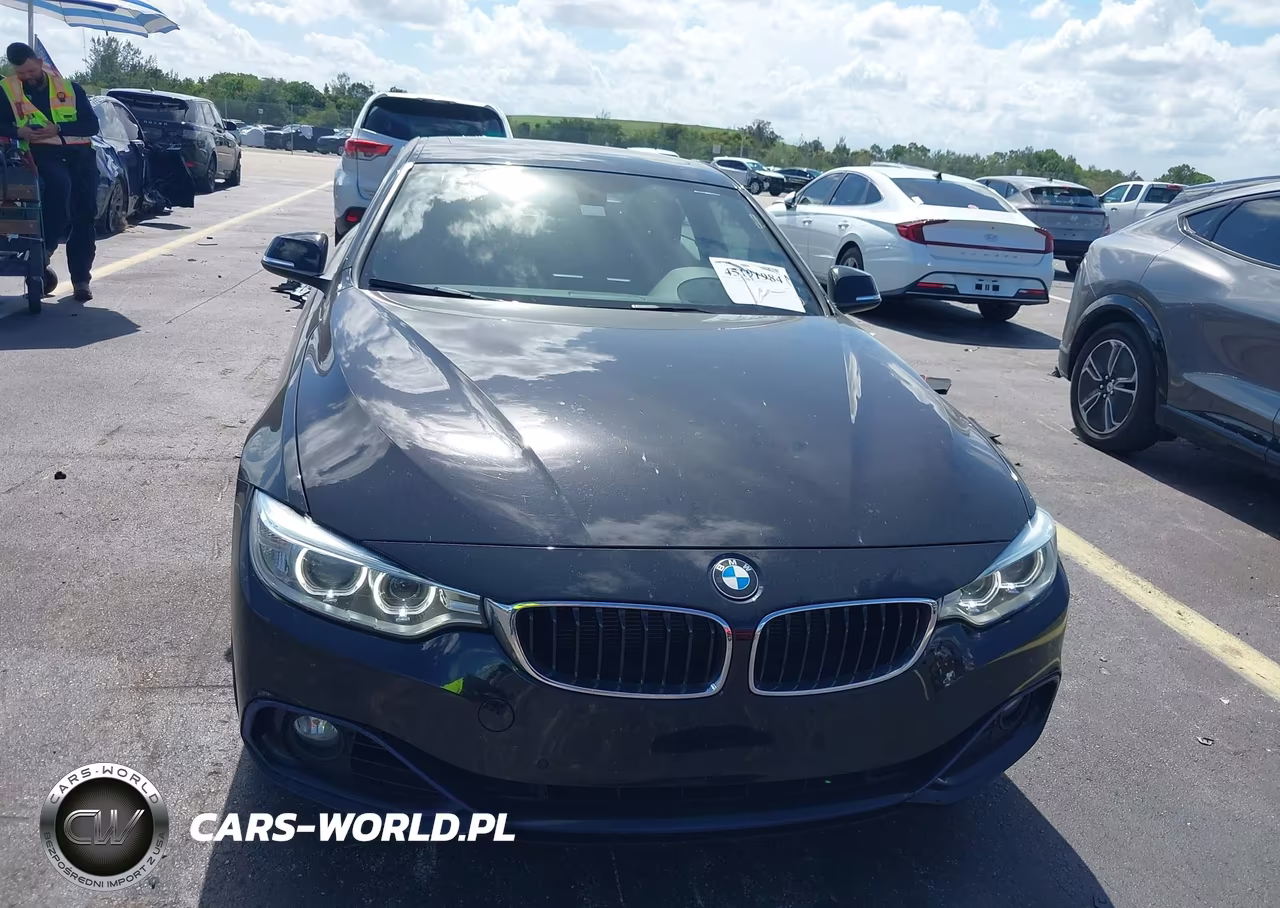 2015 BMW 428I VIN:WBA3N7C5XFK223476 - 12