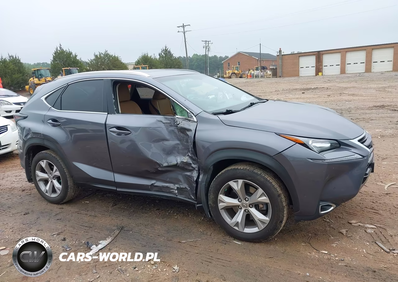 2017 Lexus Nx 200T VIN:JTJBARBZ3H2118658 - 13