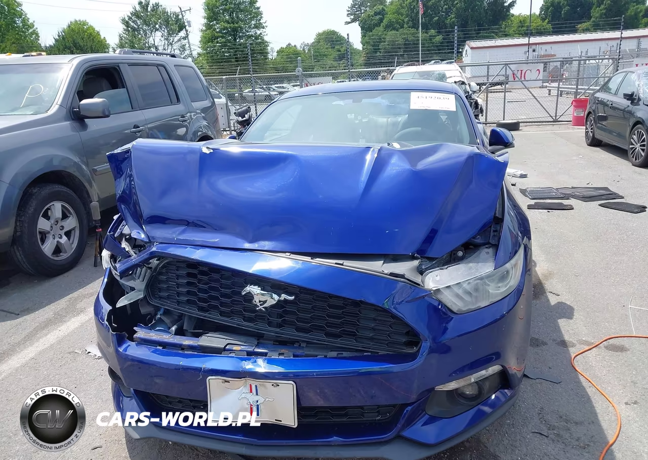 2015 Ford Mustang Ecoboost VIN:1FA6P8TH4F5325600 - 12