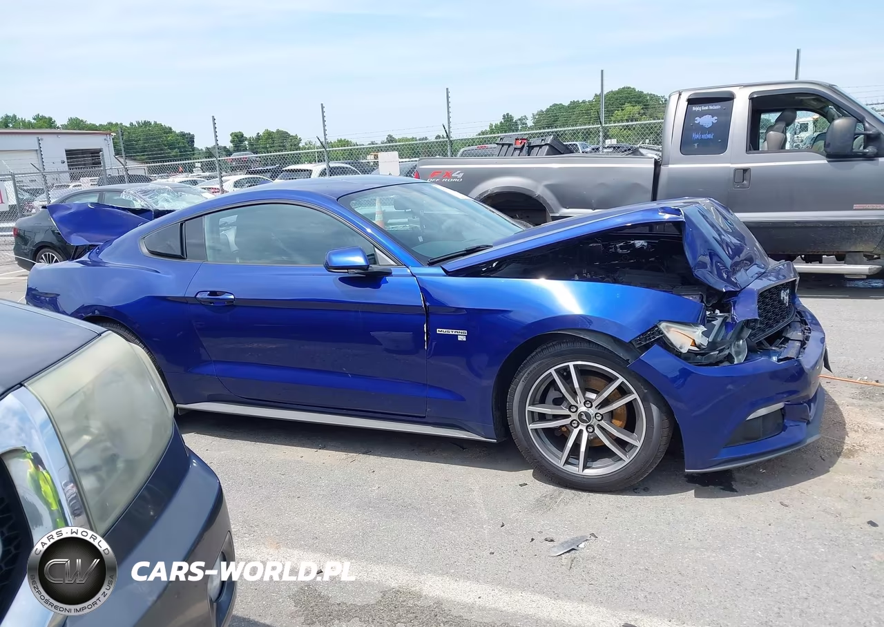 2015 Ford Mustang Ecoboost VIN:1FA6P8TH4F5325600 - 13
