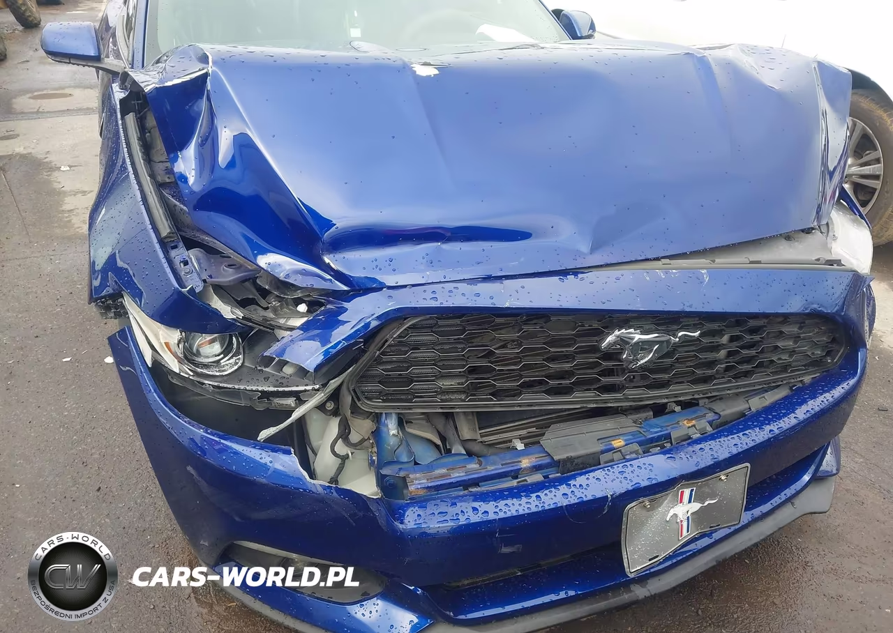 2015 Ford Mustang Ecoboost VIN:1FA6P8TH4F5325600 - 19