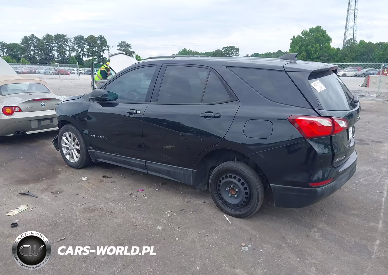 2019 Chevrolet Equinox Ls VIN:3GNAXHEV5KL353740 - 3