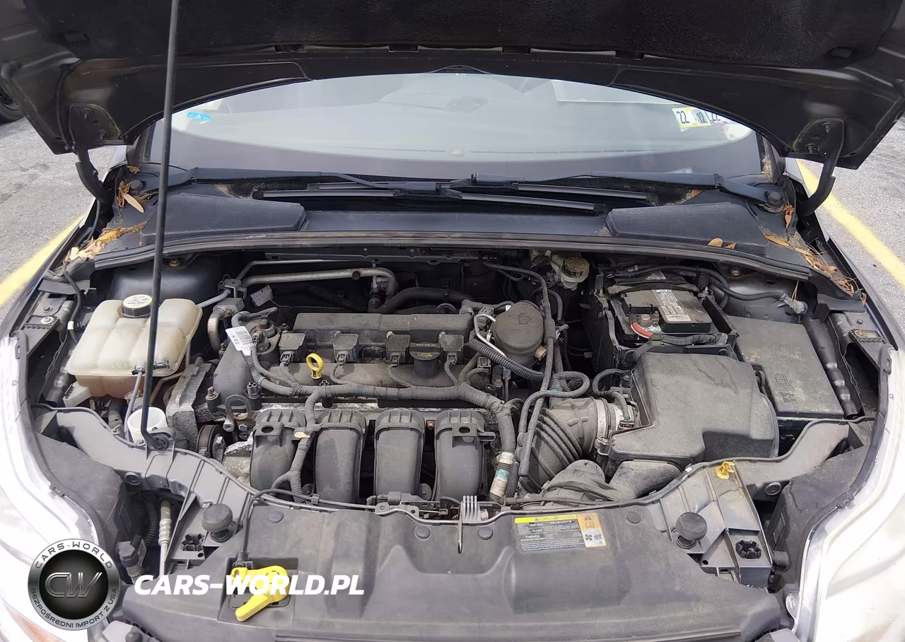 2012 Ford Focus Se VIN:1FAHP3F22CL384431 - 10
