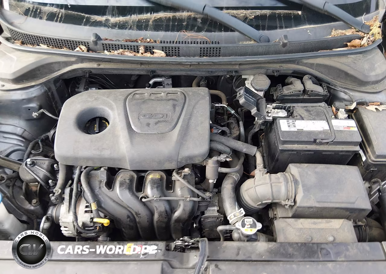 2019 Hyundai Accent Se VIN:3KPC24A31KE062976 - 10