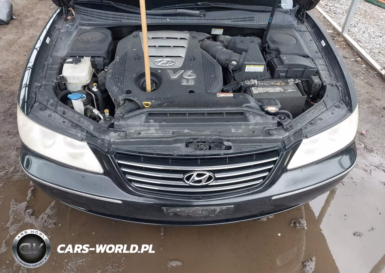2008 Hyundai Azera Limited VIN:KMHFC46F08A254295 - 10