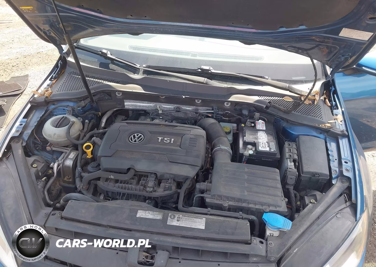 2015 Volkswagen Golf Tsi S 4-Door VIN:3VW217AU0FM030375 - 10