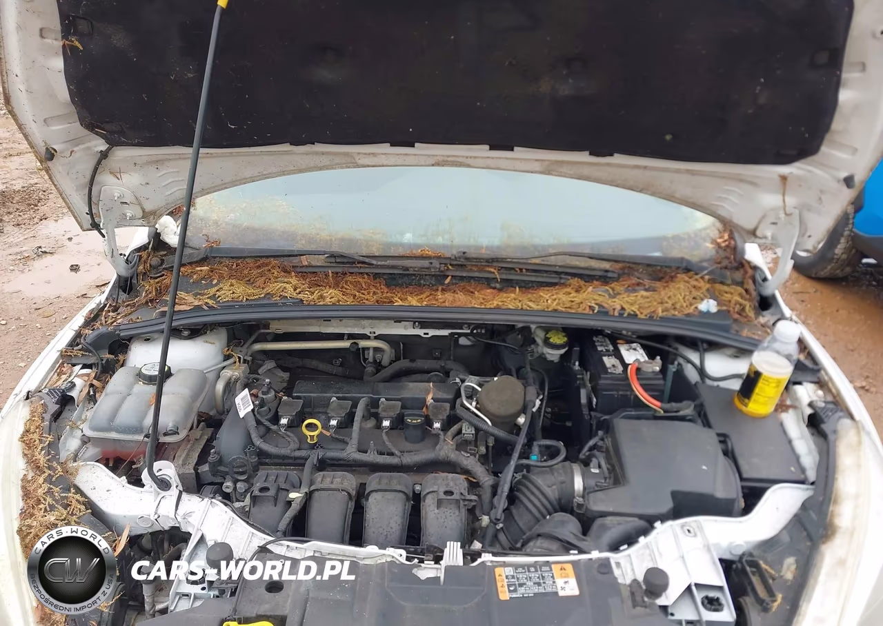 2015 Ford Focus Se VIN:1FADP3K21FL365197 - 10