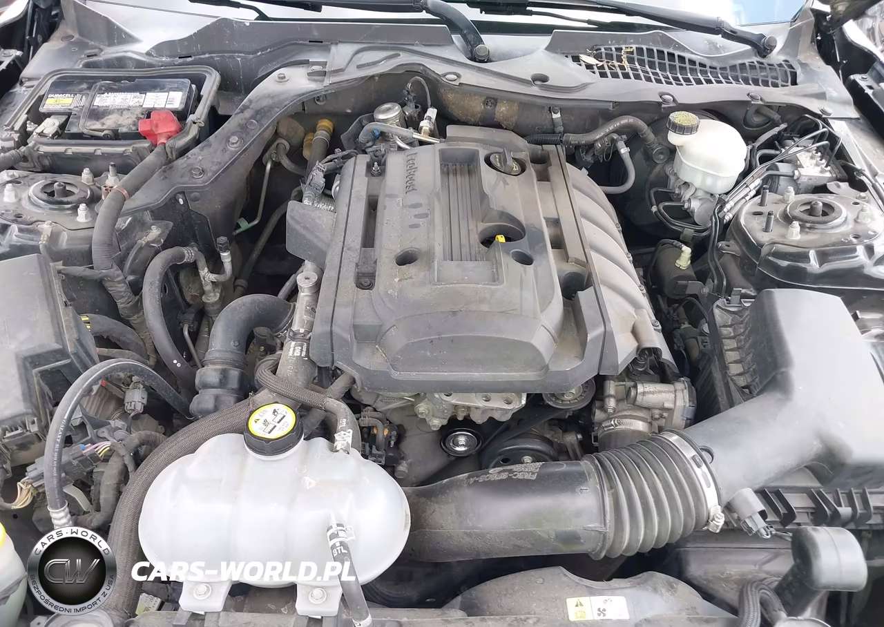 2015 Ford Mustang Ecoboost VIN:1FA6P8THXF5342420 - 10