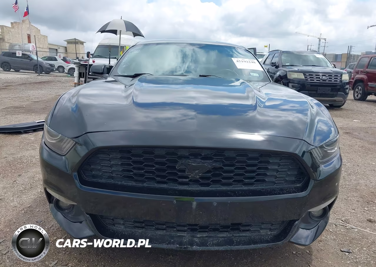 2015 Ford Mustang Ecoboost VIN:1FA6P8THXF5342420 - 13