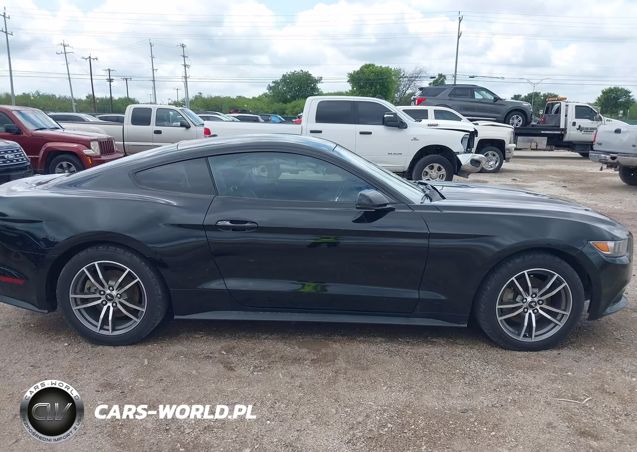 2015 Ford Mustang Ecoboost VIN:1FA6P8THXF5342420 - 14