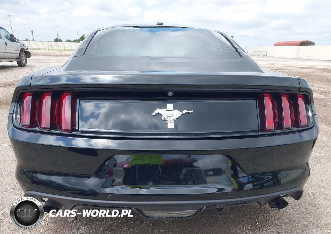 2015 Ford Mustang Ecoboost VIN:1FA6P8THXF5342420 - 17