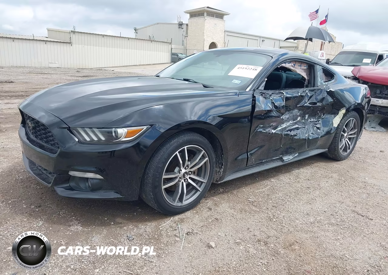 2015 Ford Mustang Ecoboost VIN:1FA6P8THXF5342420 - 2