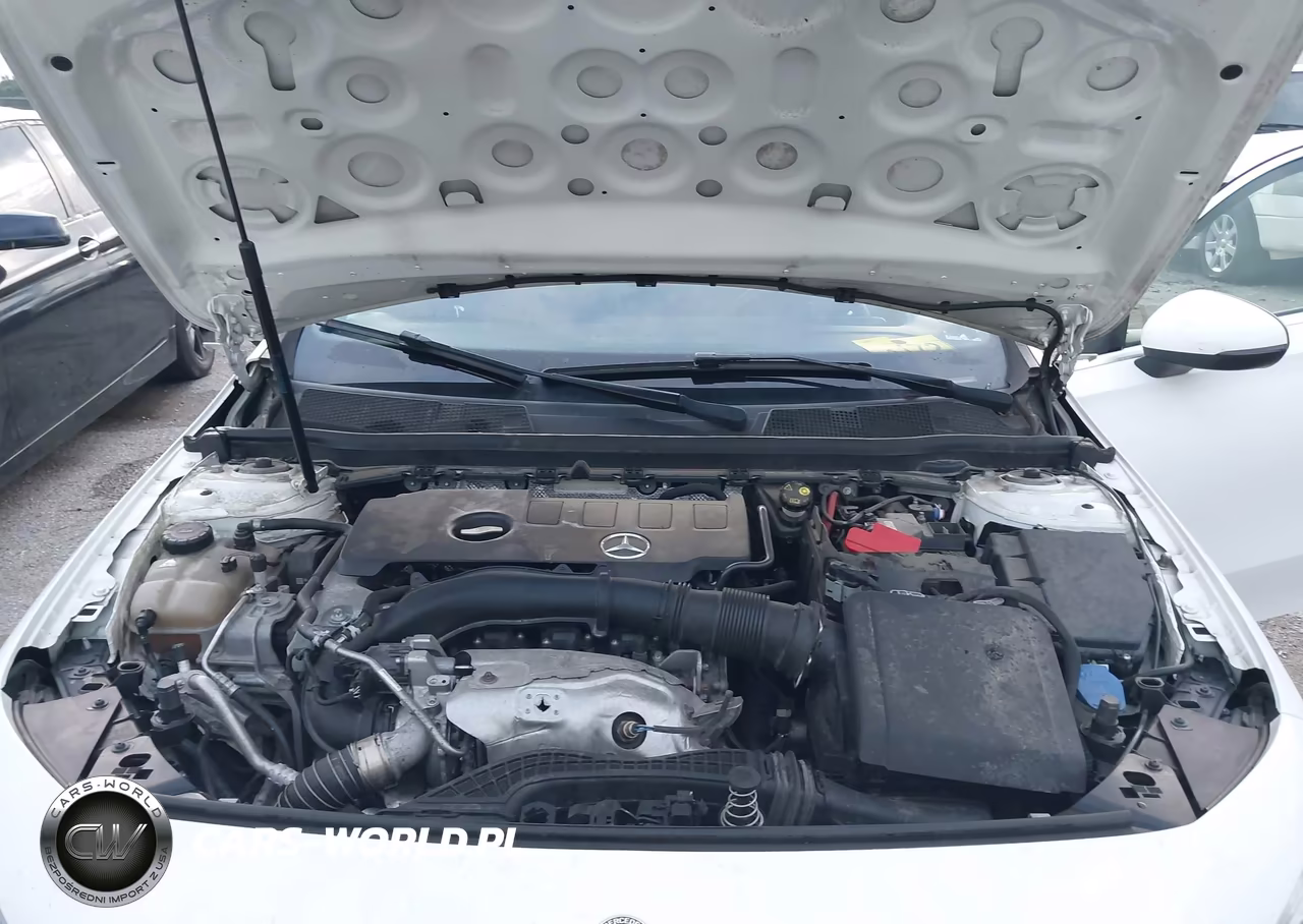 2019 Mercedes-Benz A 220 VIN:WDD3G4EB9KW034728 - 10