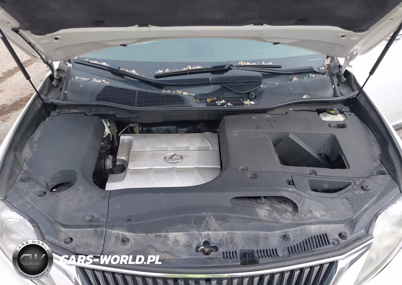 2010 Lexus Rx 350 VIN:2T2BK1BA5AC008256 - 10