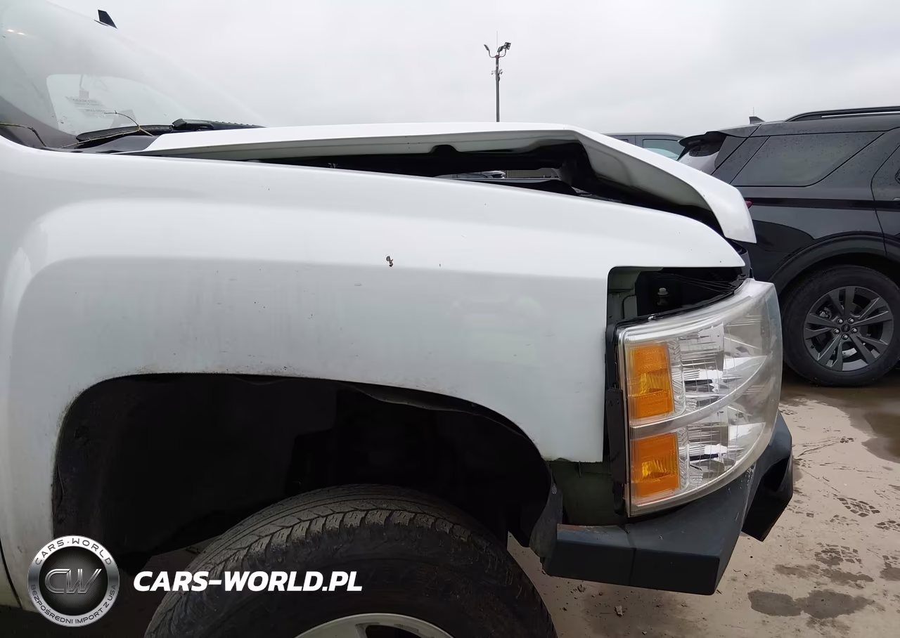 2008 Chevrolet Silverado 1500 Work Truck VIN:2GCEC13C681107210 - 21