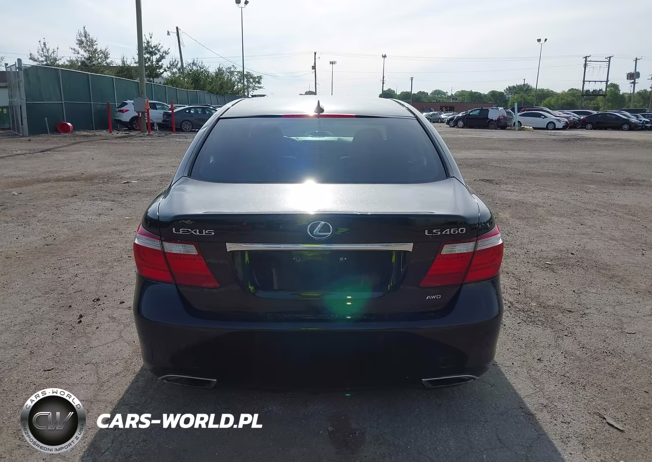 2009 Lexus Ls 460 VIN:JTHCL46F495004204 - 16