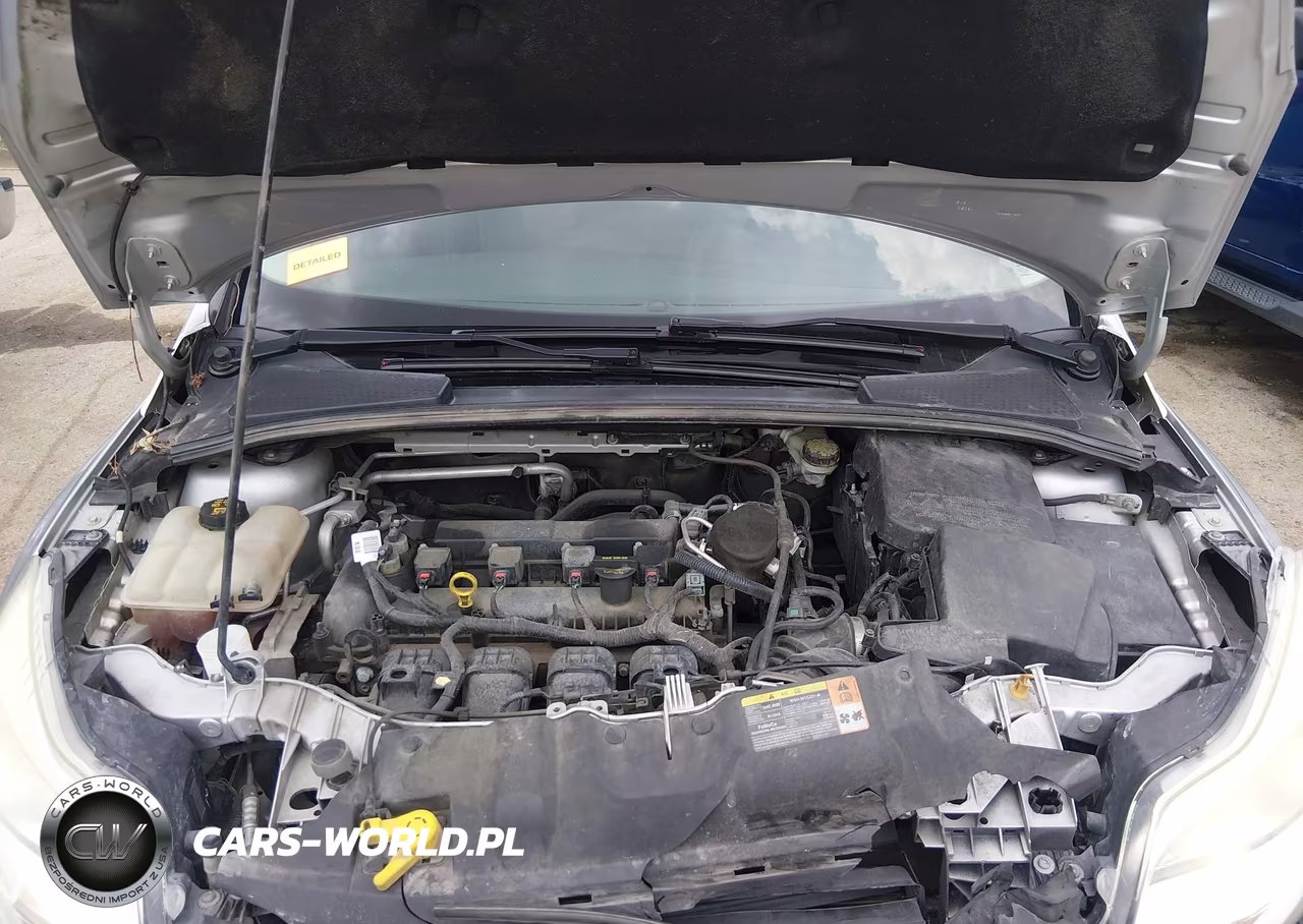 2014 Ford Focus Se VIN:1FADP3F20EL241186 - 10