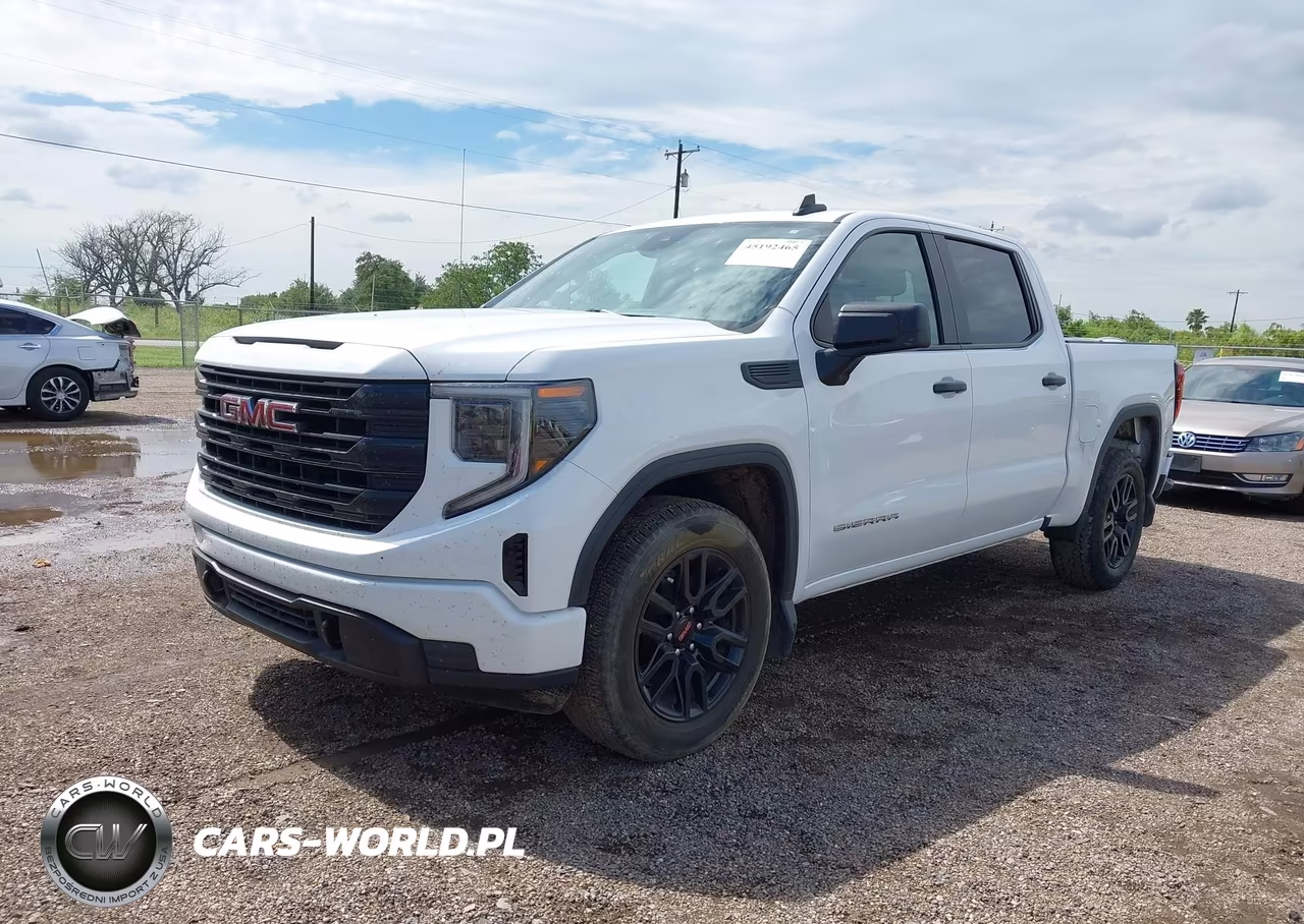 2024 GMC Sierra 1500 2Wd Short Box Pro VIN:1GTPHAEKXRZ246098 - 2