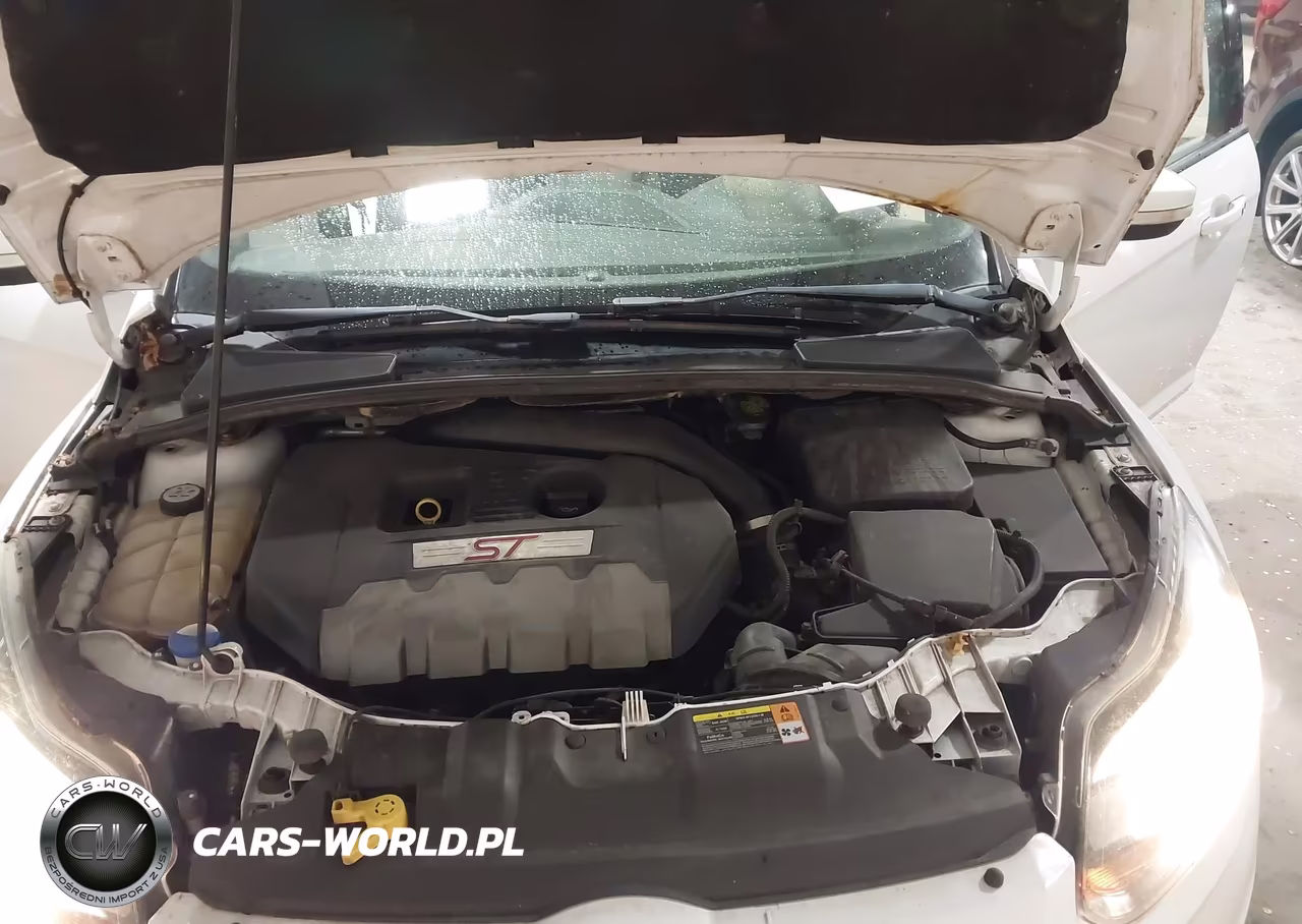 2013 Ford Focus St VIN:1FADP3L98DL170352 - 10