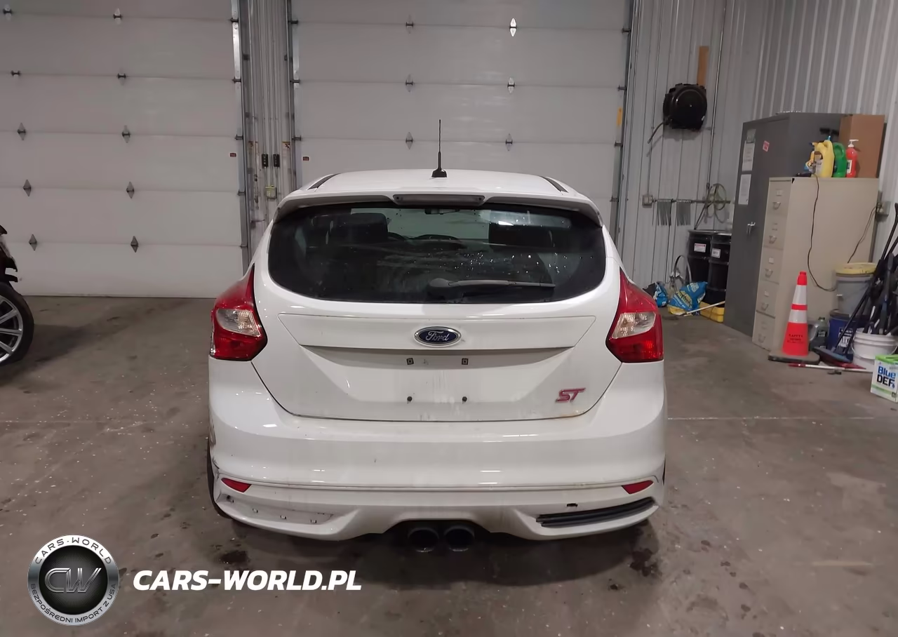 2013 Ford Focus St VIN:1FADP3L98DL170352 - 17