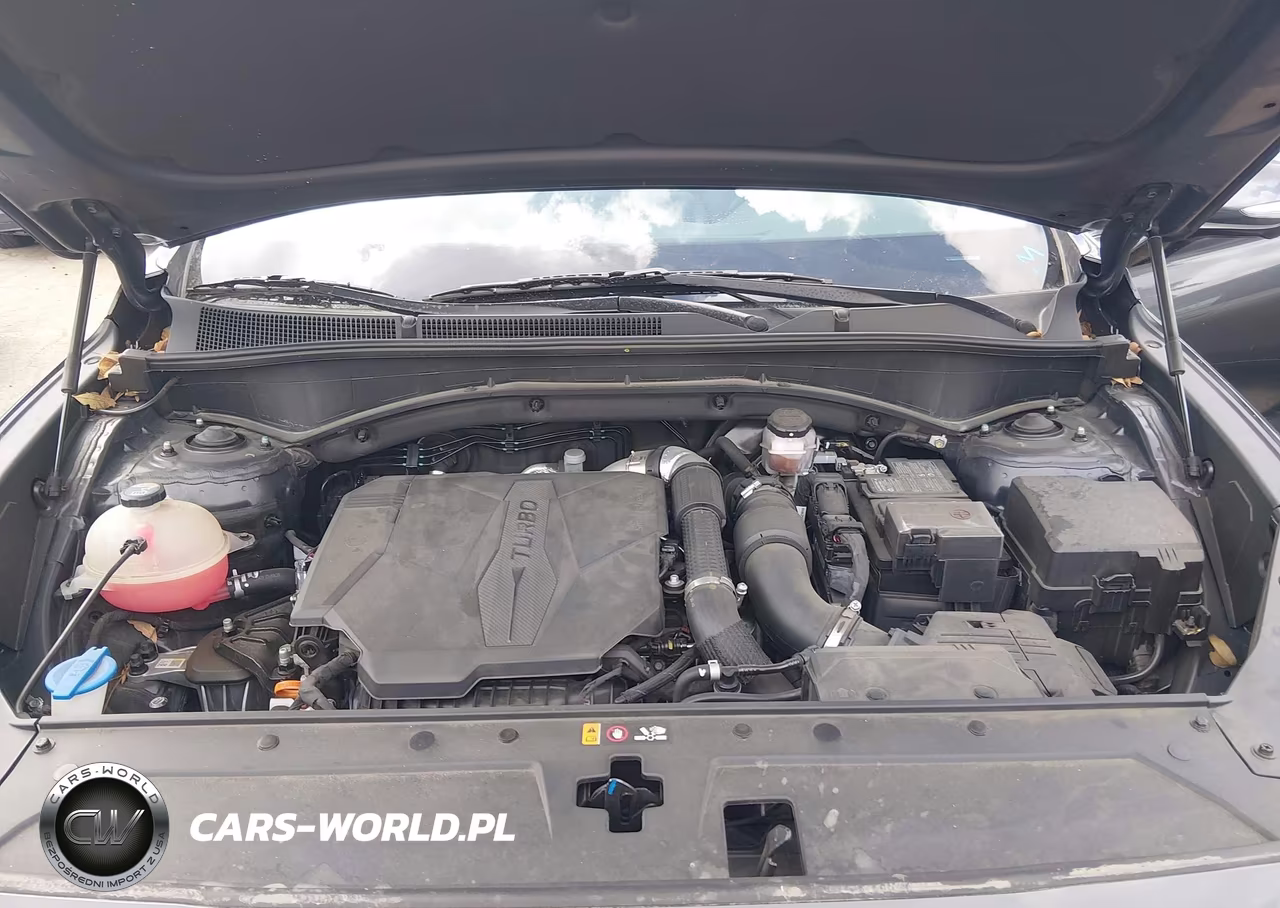 2023 Hyundai Santa Fe Limited VIN:5NMS4DAL0PH609872 - 10