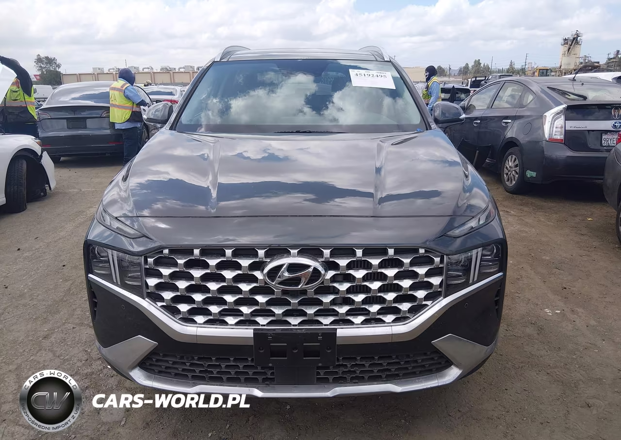 2023 Hyundai Santa Fe Limited VIN:5NMS4DAL0PH609872 - 13