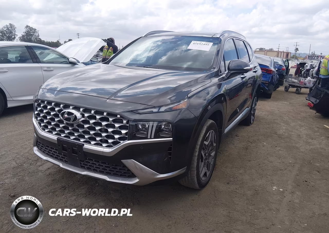 2023 Hyundai Santa Fe Limited VIN:5NMS4DAL0PH609872 - 2