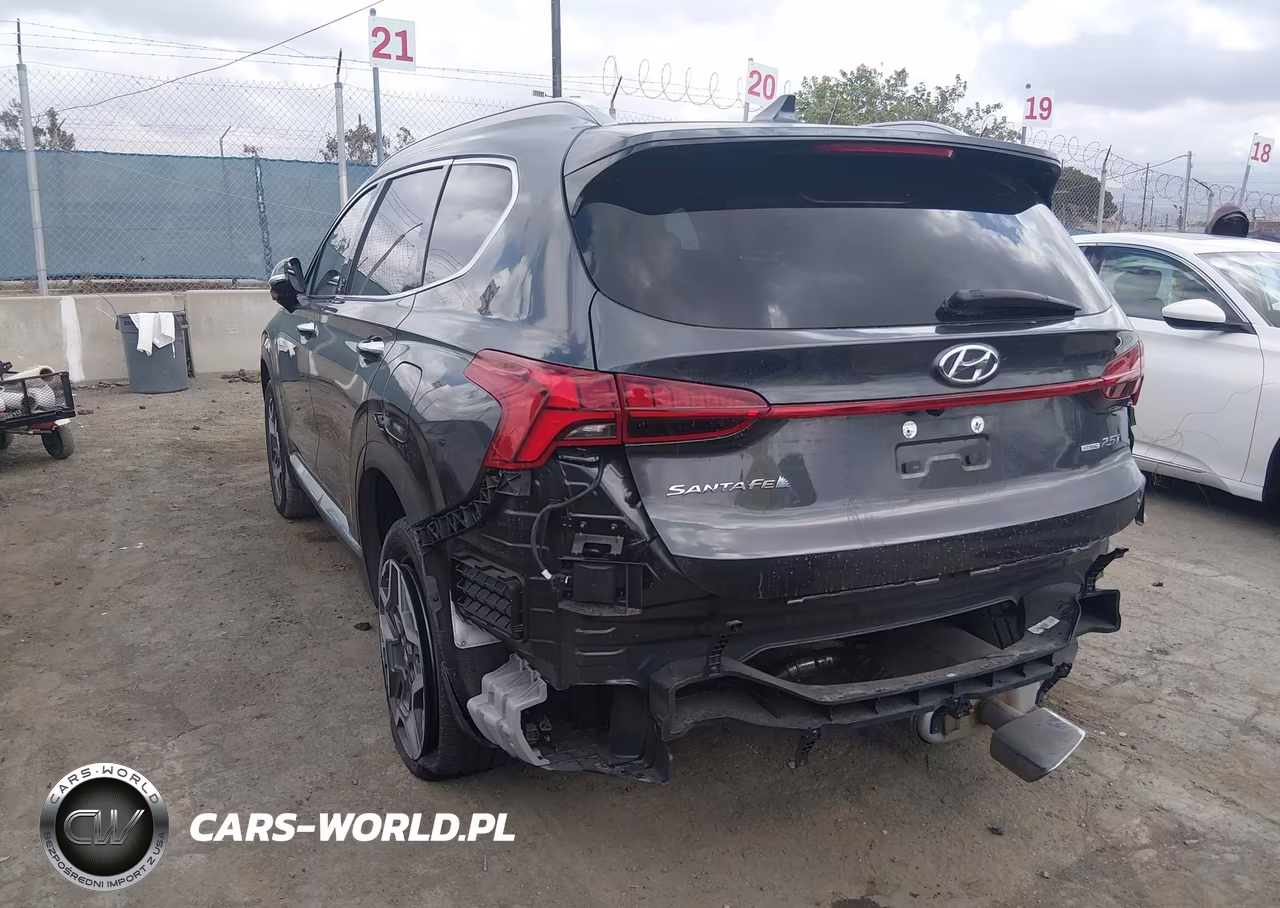 2023 Hyundai Santa Fe Limited VIN:5NMS4DAL0PH609872 - 3