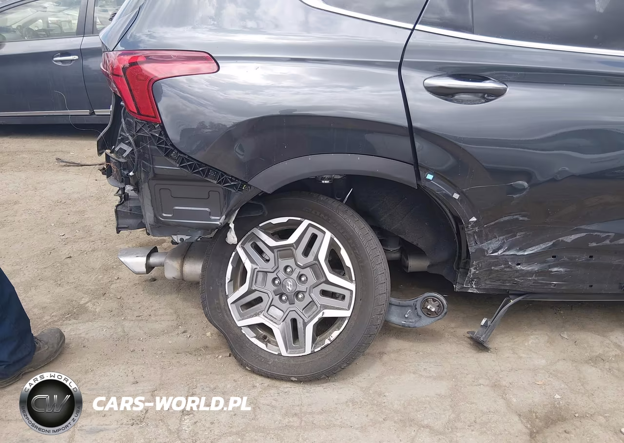 2023 Hyundai Santa Fe Limited VIN:5NMS4DAL0PH609872 - 6