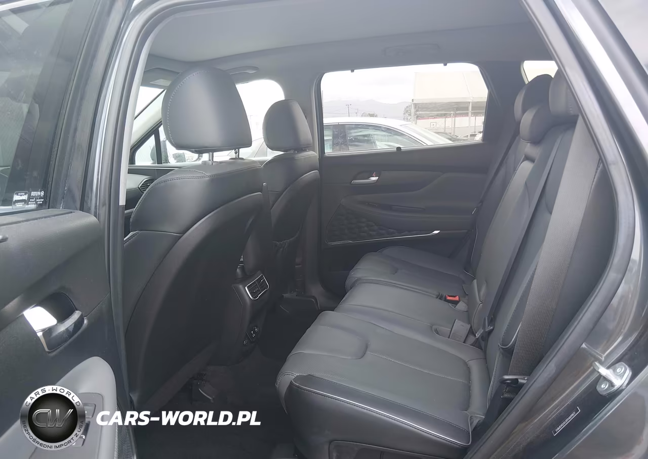 2023 Hyundai Santa Fe Limited VIN:5NMS4DAL0PH609872 - 8