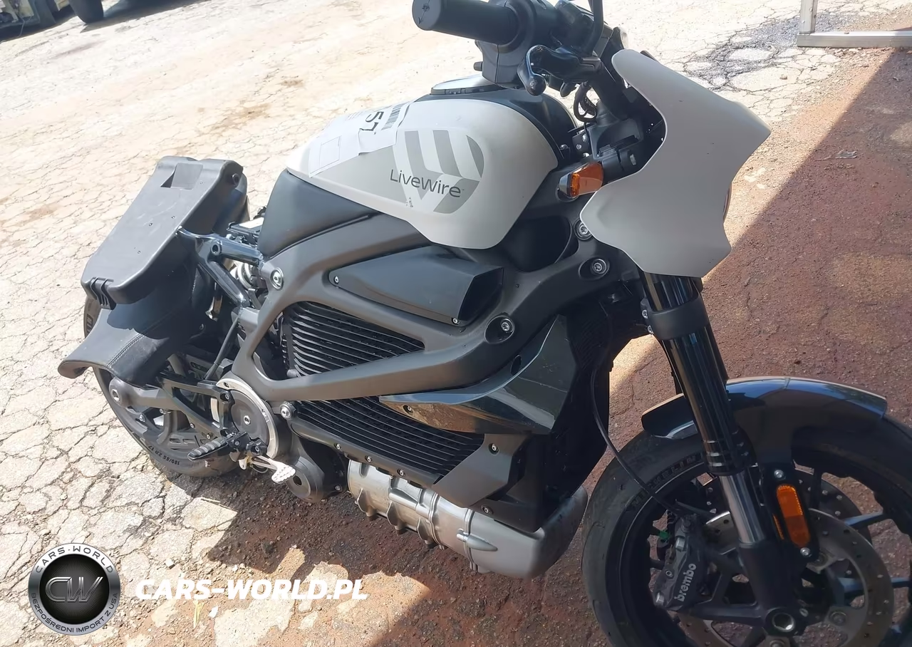 2022 Livewire Lw1 VIN:1HD2XBEB7NB800640 - 8