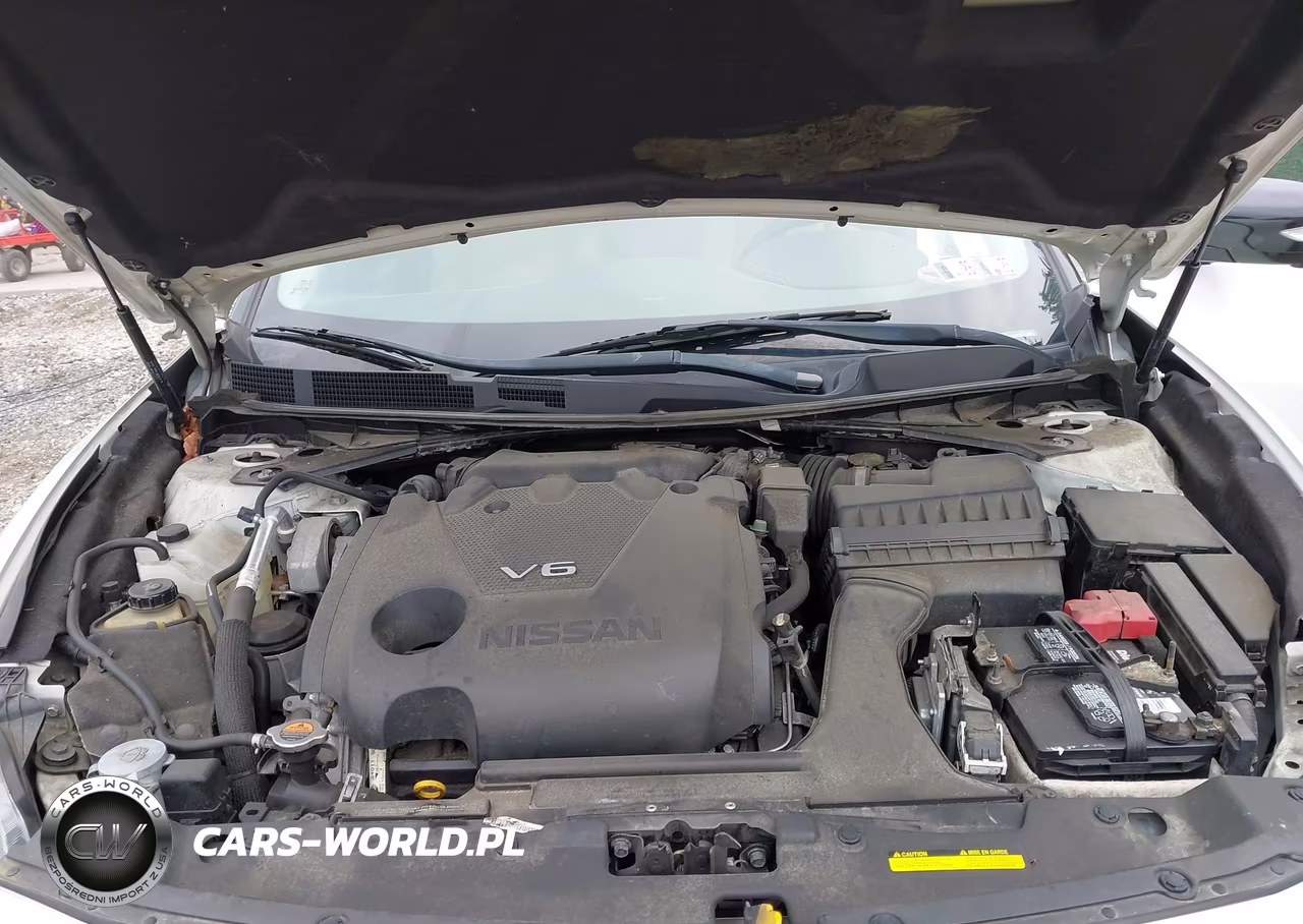 2017 Nissan Maxima 3.5 Platinum VIN:1N4AA6APXHC374745 - 10