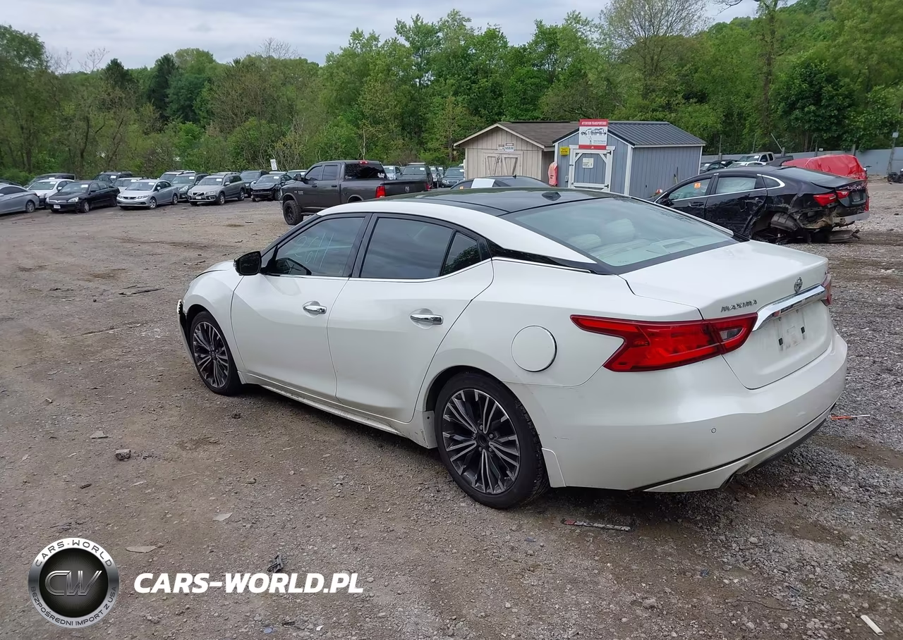 2017 Nissan Maxima 3.5 Platinum VIN:1N4AA6APXHC374745 - 3