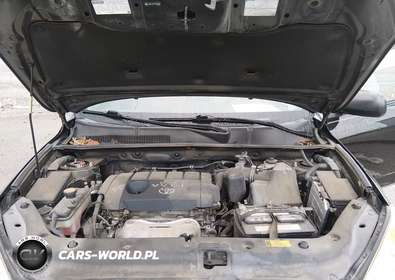 2009 Toyota Rav4 VIN:JTMZF33V195006923 - 10