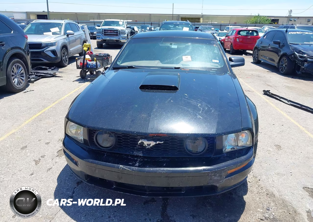 2007 Ford Mustang Gt Deluxe-Gt Premium VIN:1ZVHT82H875274911 - 12