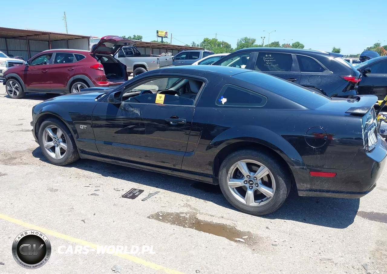 2007 Ford Mustang Gt Deluxe-Gt Premium VIN:1ZVHT82H875274911 - 14