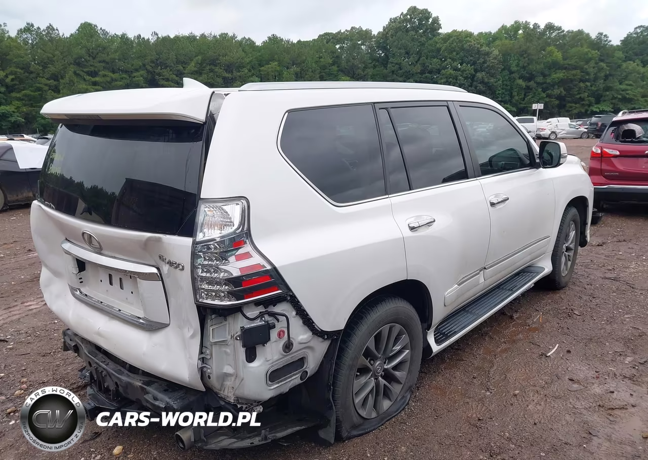 2016 Lexus Gx 460 Luxury VIN:JTJJM7FX5G5124894 - 4