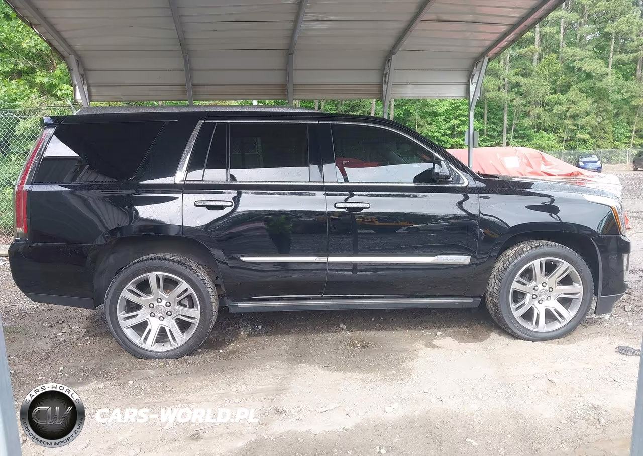 2015 Cadillac Escalade Premium VIN:1GYS4CKJ5FR309532 - 13