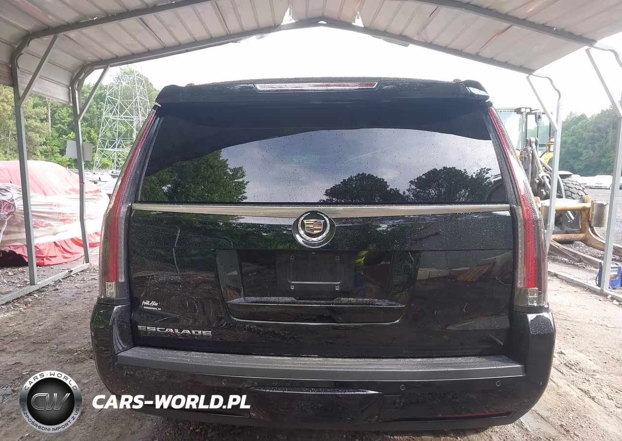 2015 Cadillac Escalade Premium VIN:1GYS4CKJ5FR309532 - 16