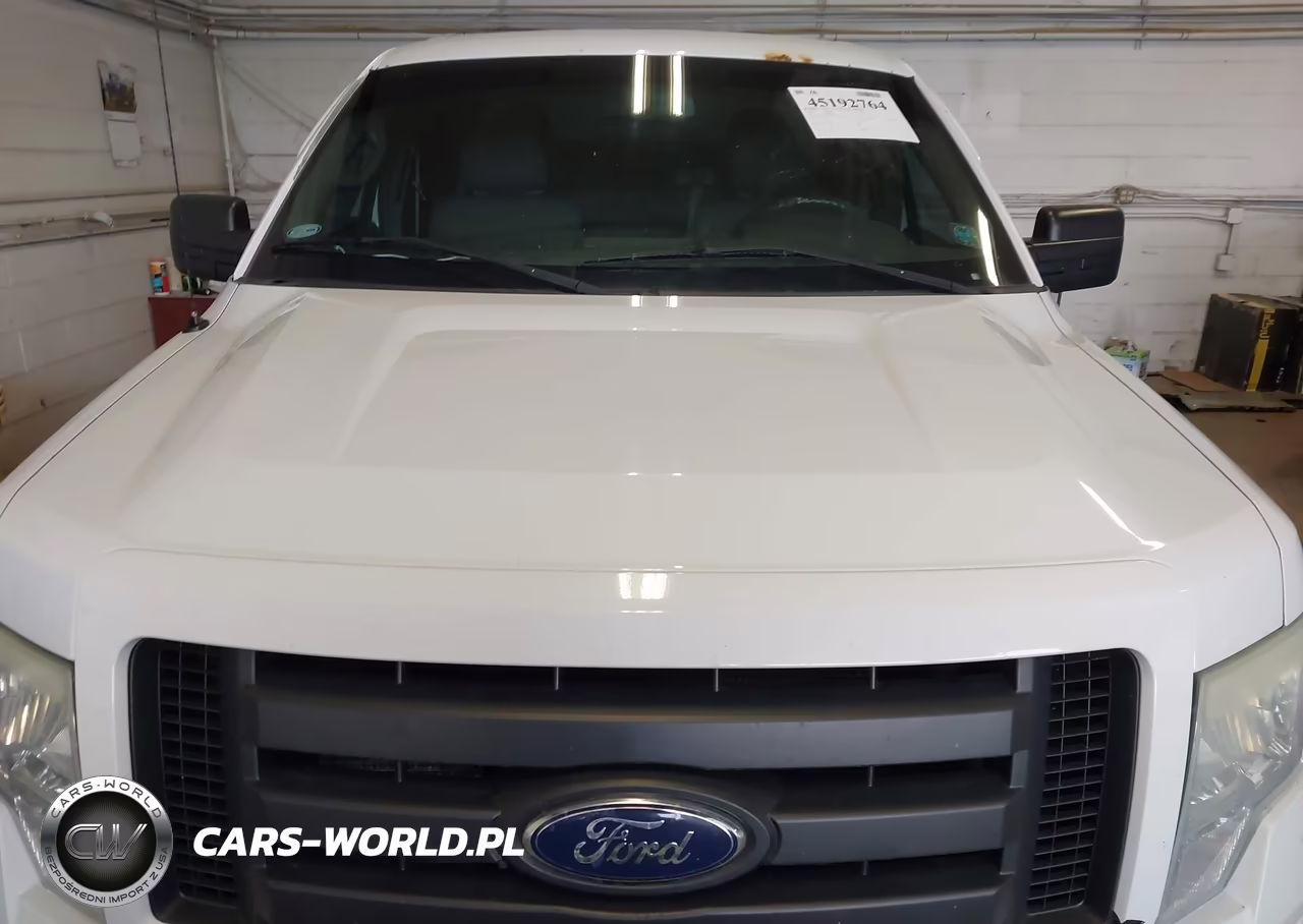 2010 Ford F-150 Stx VIN:1FTEX1E85AKB70009 - 12
