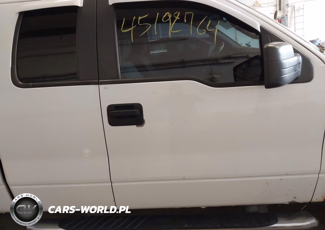 2010 Ford F-150 Stx VIN:1FTEX1E85AKB70009 - 13