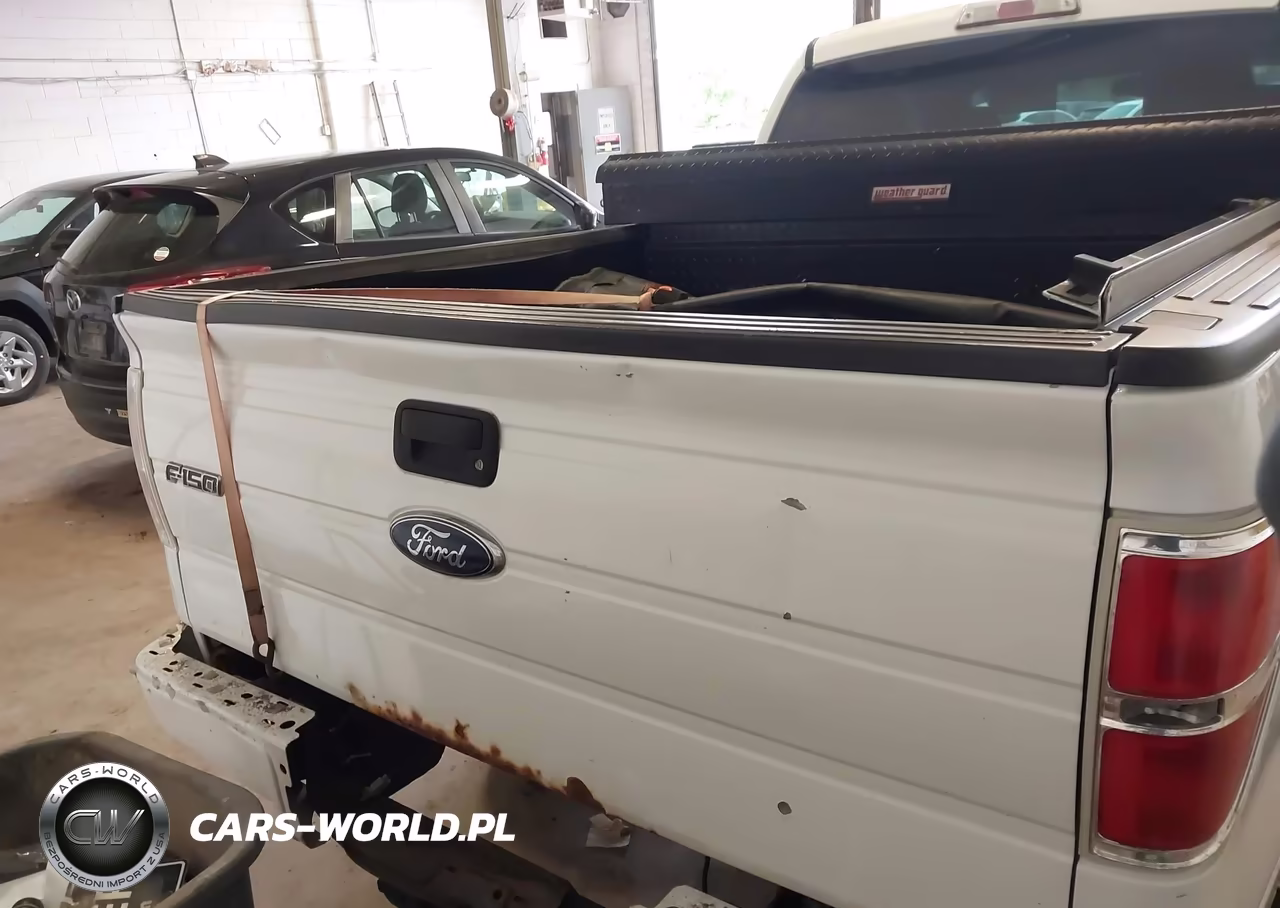 2010 Ford F-150 Stx VIN:1FTEX1E85AKB70009 - 16