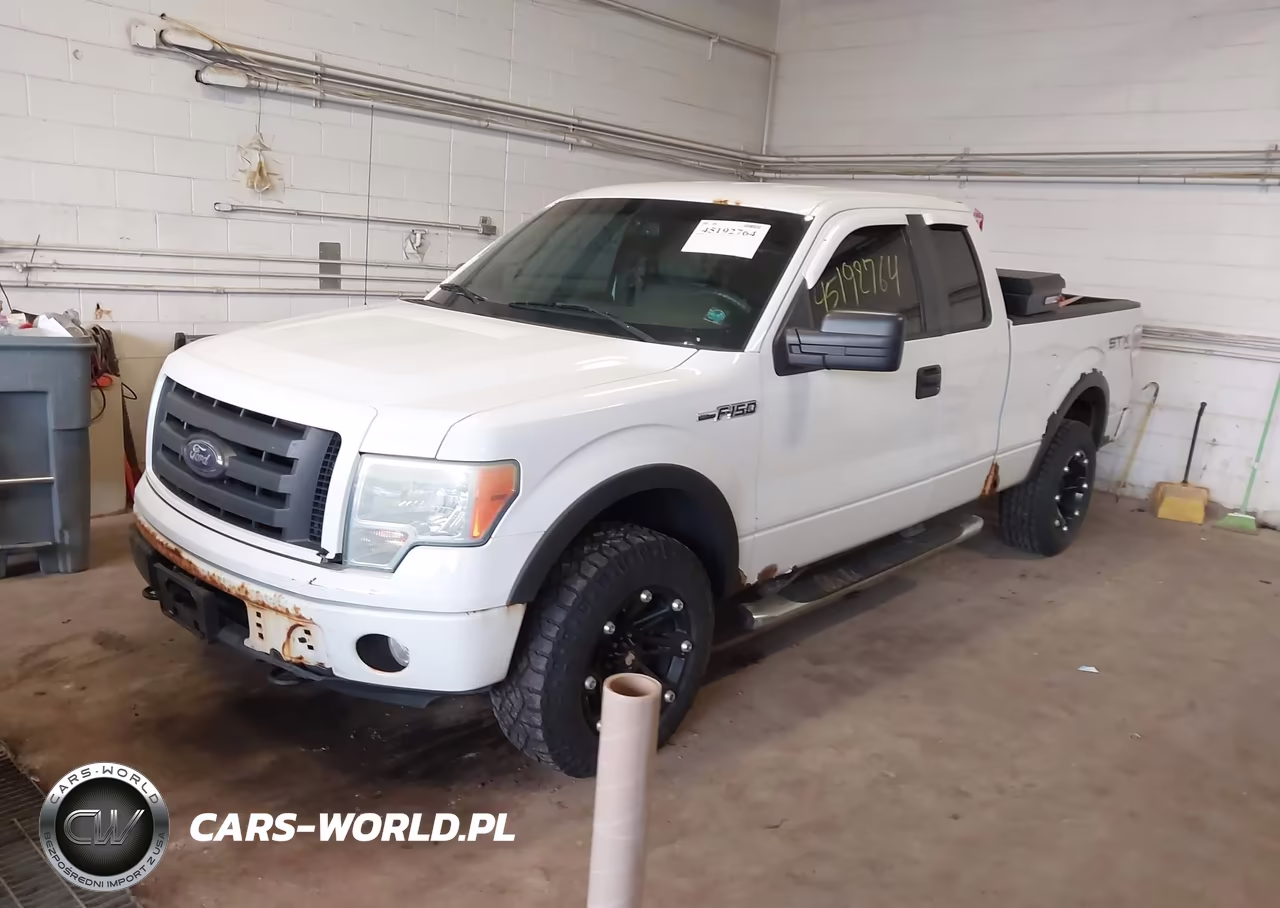 2010 Ford F-150 Stx VIN:1FTEX1E85AKB70009 - 2