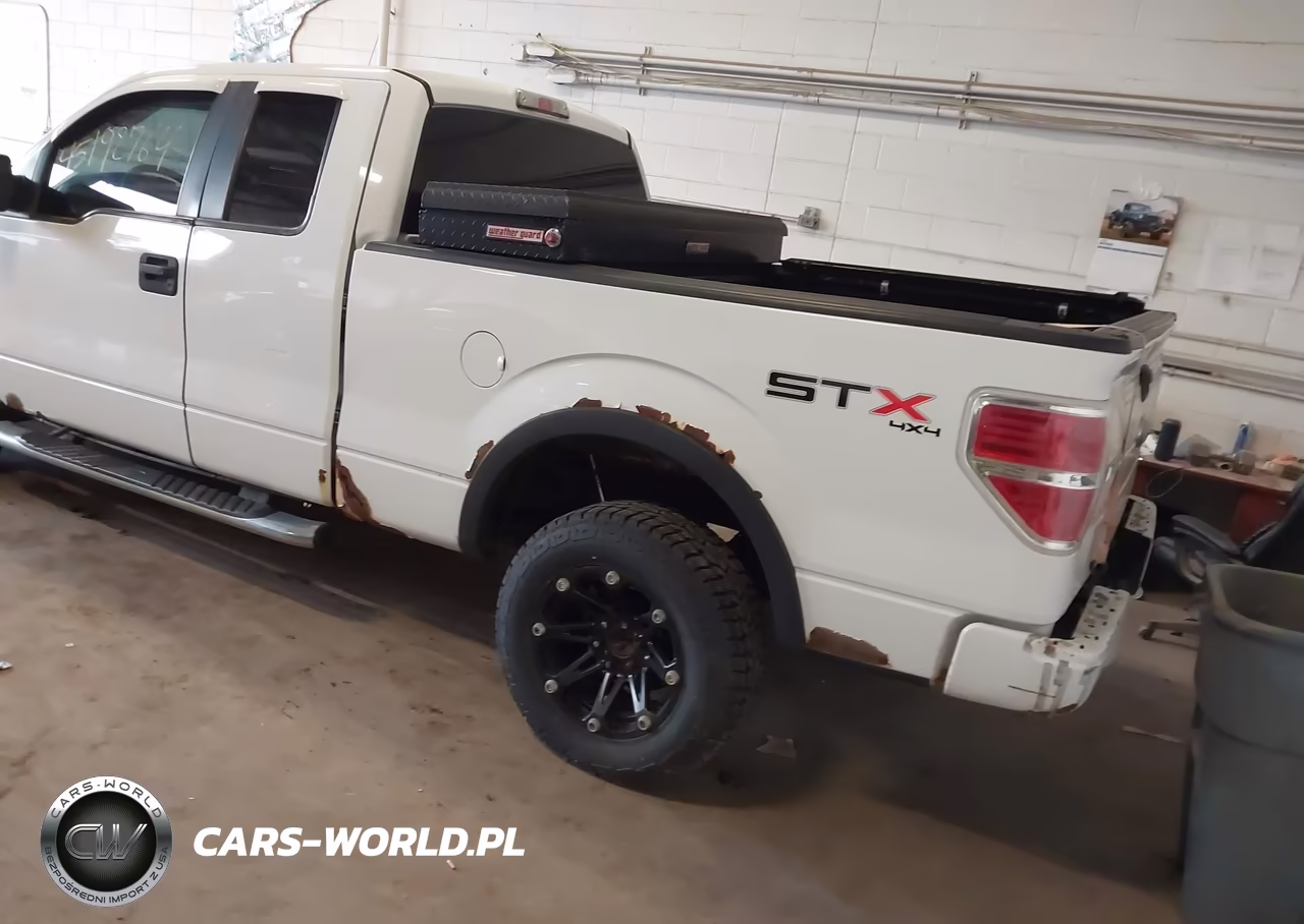 2010 Ford F-150 Stx VIN:1FTEX1E85AKB70009 - 3