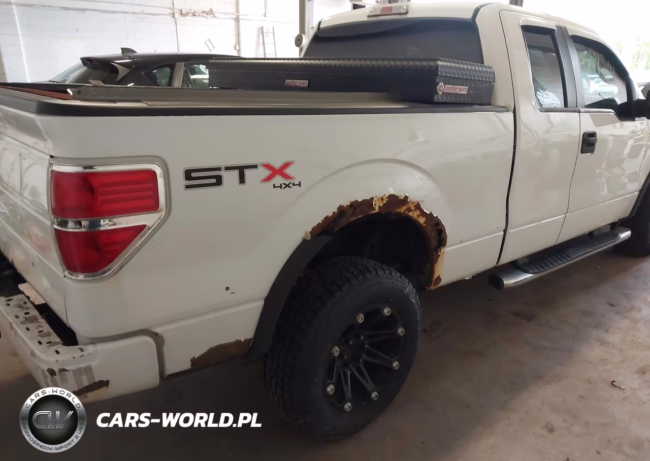 2010 Ford F-150 Stx VIN:1FTEX1E85AKB70009 - 4