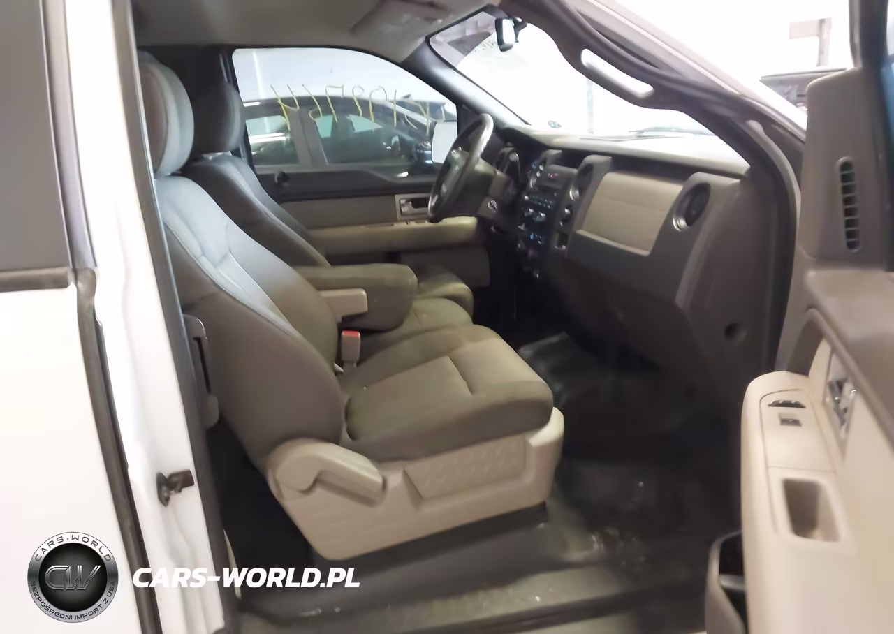2010 Ford F-150 Stx VIN:1FTEX1E85AKB70009 - 5