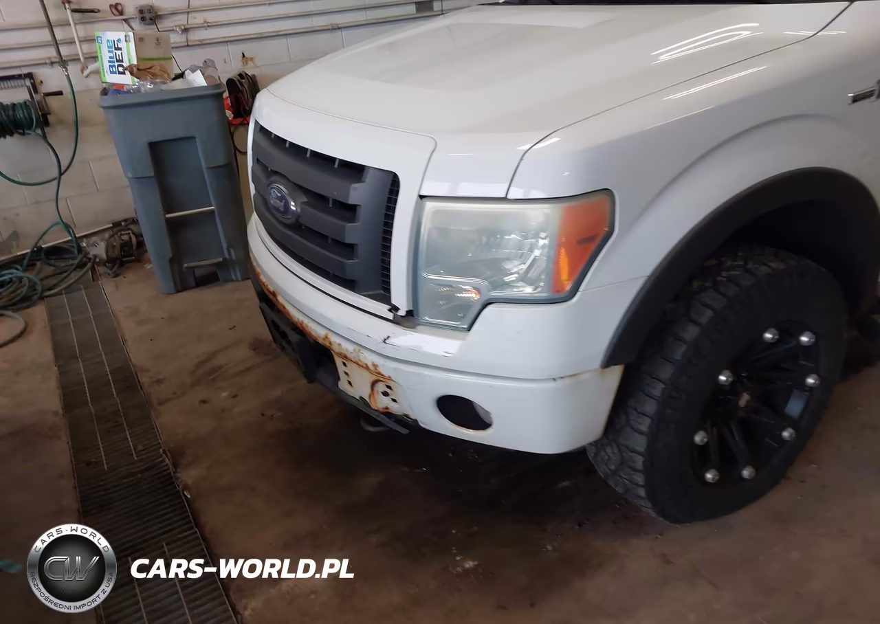 2010 Ford F-150 Stx VIN:1FTEX1E85AKB70009 - 6